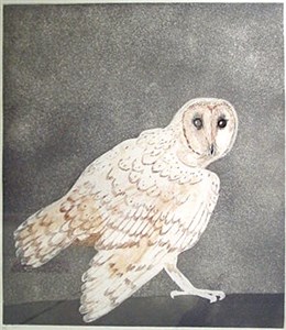 Image description is not available for 1980.039